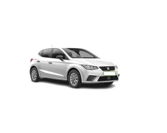 Renting cocheSeat Ibiza