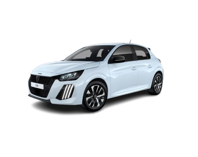 Renting Coche 208