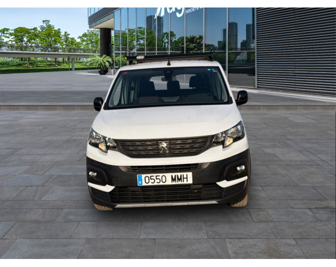 PEUGEOT RIFTER