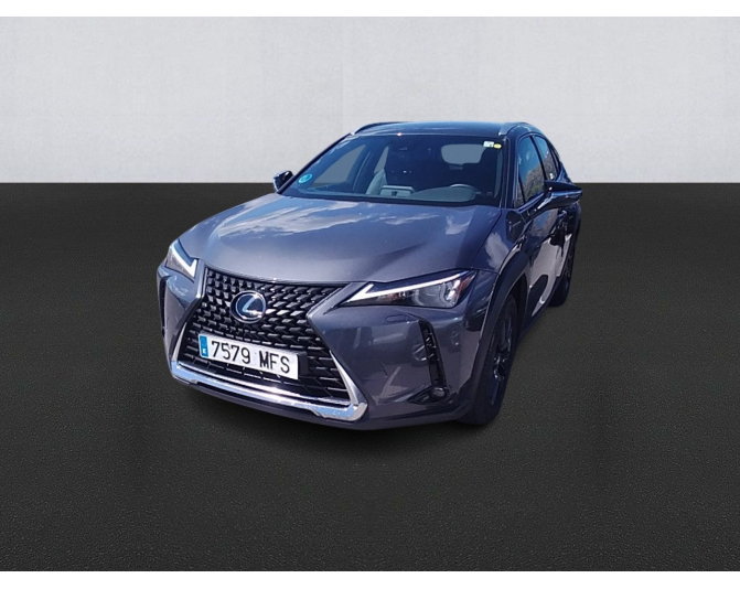 Renting cocheLEXUS UX