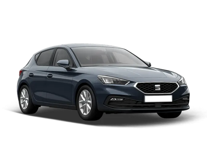 Renting cocheSEAT LEON