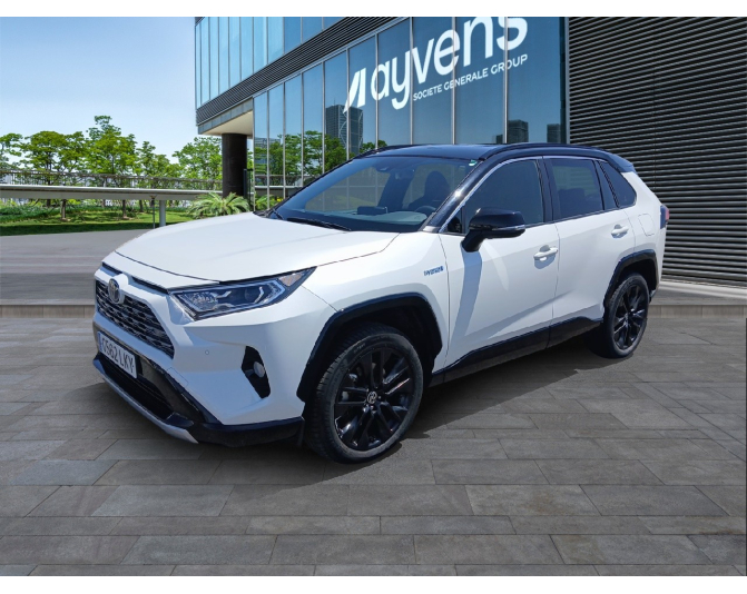 Renting cocheTOYOTA RAV4