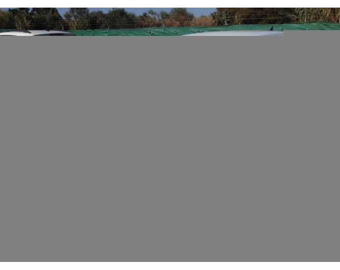 Renting cocheSKODA SCALA