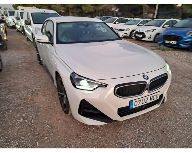 BMW SERIES 2