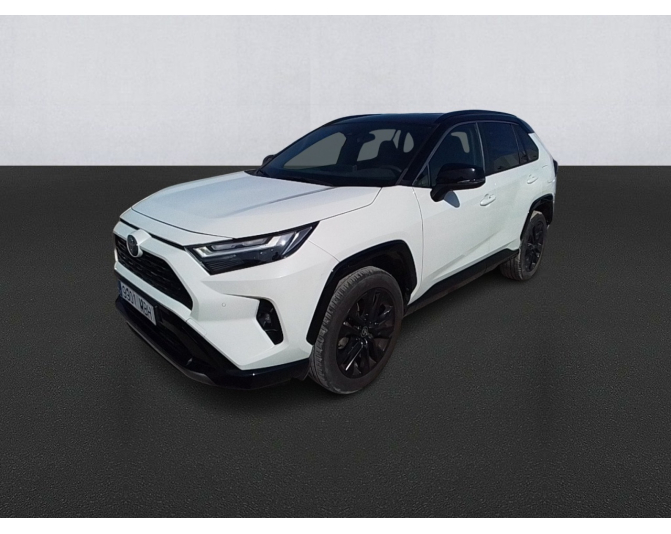 Renting cocheTOYOTA RAV4