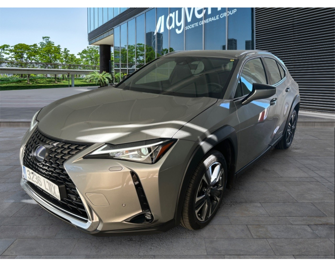Renting cocheLEXUS UX