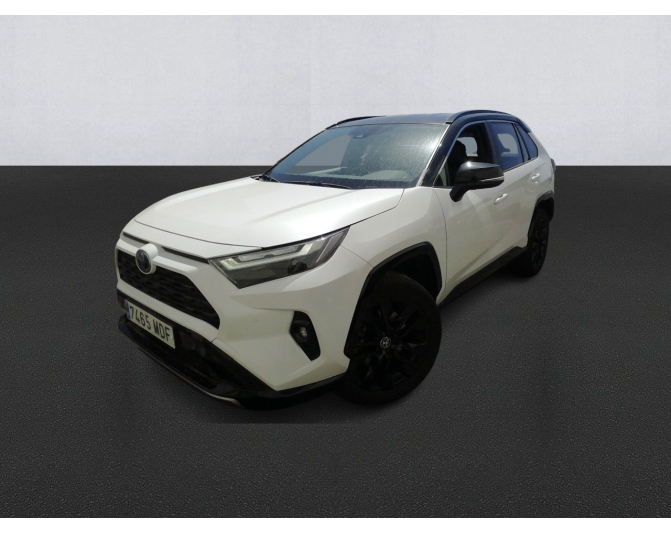 Renting cocheTOYOTA RAV4