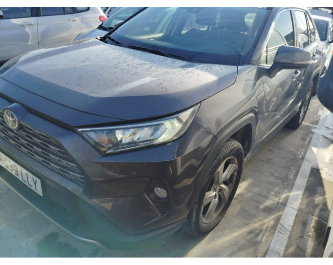 Renting cocheTOYOTA RAV4
